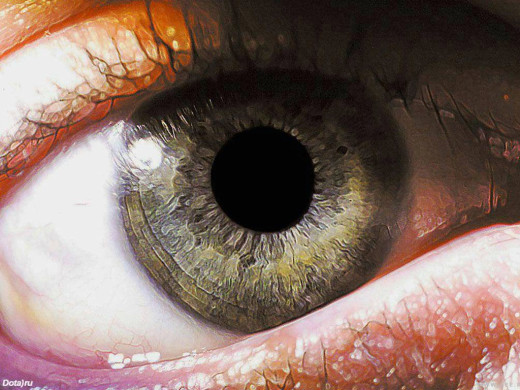 3544 (a): :1024x768